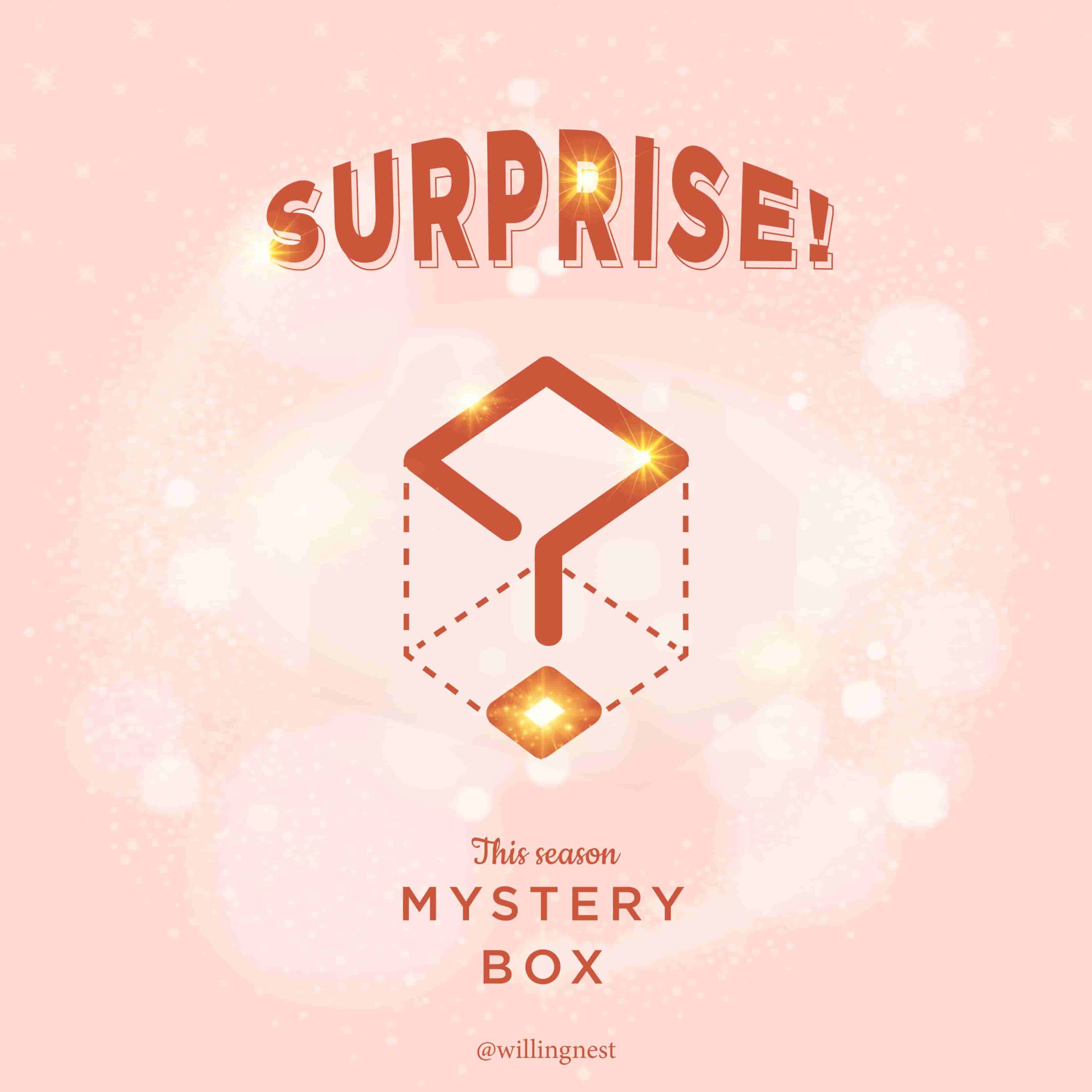 mystery box 1-01
